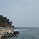 🍀3월 요약 | 속초 바다제면, 쑥라떼, 유리알 유희, 묵호 도째비골 스카이밸리