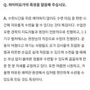 와이미요가&필라테스