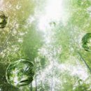 에코그린스테이 이미지