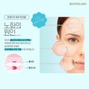 티바이오젠 | [강남/논현] 제니페이스 :: 여름철 남자관리 두 번째 바이오필 솔직 후기 (피부관리편)