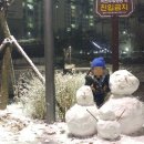 아름동공영주차장 이미지