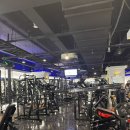 에이치문구 이미지