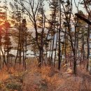 국당3리 이미지