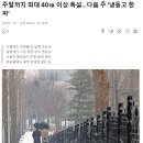 주말(20~21일)까지 최대 40㎝ 이상 폭설…다음 주 &#39;냉동고 한파&#39; 이미지