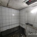 세종지물 이미지