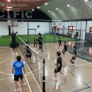 프로발리볼센터 이미지