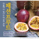 현농장 | 뜨렌비팜 체험농장(현장견학)