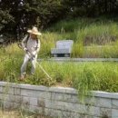 성묘문화 고찰(省墓文化考察) 이미지