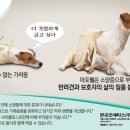 안산동물약국 이미지