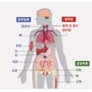 약선당약국 네이버블로그