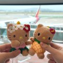 132 | 🇯🇵 후쿠오카 여행 아시아나 OZ132 / 진에어 LJ266 탑승 후기✈️