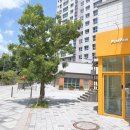 포포펫살롱 이미지