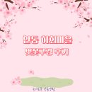 솔숲갈래길 | 하회마을 벚꽃 구경 후기