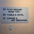 어푸어푸 | 안성 애견카페 어푸어푸 후기, 넓은 운동장까지 있는 공도 애견카페