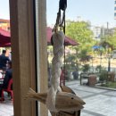 카츠의진수 | 가산디지털단지 맛집 추천, 제주 흑돼지의 진수 '카츠올로지' 가산본점 솔직 후기