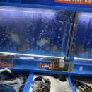 가락횟집 이미지