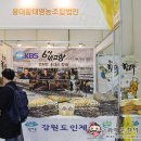 하늘내린용대