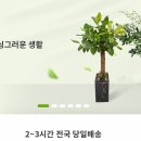 남현동-44 네이버블로그