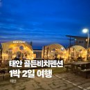 돔펜션 | [태안 1박 2일 여행] 골든비치펜션: 이글루 돔 안에서 먹는 바베큐 펜션 솔직후기