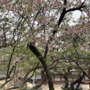 국립현대미술관 덕수궁: [초현실주의와 한국근대미술] 정보, 후기