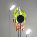 플랜테리어 홈가드닝 이미지