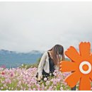 가조온천 이미지