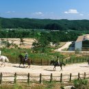 별빛여행 이미지