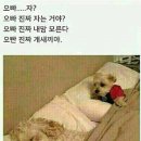 남자는배여자는항구 이미지