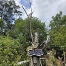 삼춘네민박 이미지