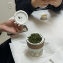 미화스테이 이미지