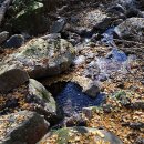 한울농장 이미지