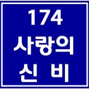 174. 사랑의신비 파트별 연습 동영상 이미지