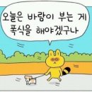 노가드네 이미지