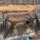 쇠죽골천 이미지