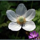 까치울역 2번 출구 이미지