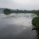 기세곡천 이미지