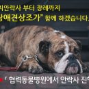 나은 강아지나라 이미지