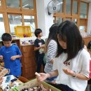 홍연초등학교 이미지