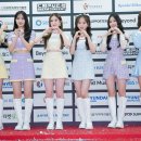 위클리 카카오 검색결과