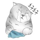 엉클스캣 이미지