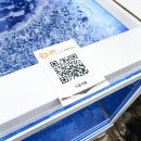 제주올레호텔 | 제주 올레시장 횟집 추천 회포장 전문 기흥어물 내돈내산 먹고 가기!