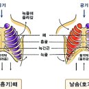엠오엠 이미지
