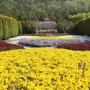 애기등 공원 이미지