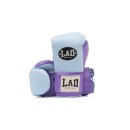 H 복싱 | 라드 글러브 신상 후기 | LAD FLOW - H / Sky blue + Purple [검단복싱]