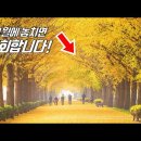 전철 타고 가는 아름다운 가을 여행지 6곳! 상 받을만 하네요~ | 📸 수도권 당일치기 여행코스 이미지