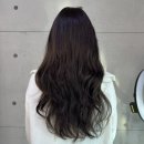 다솜헤어센스