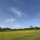 상하농장 | 고창 학원농장 - 상하농원 후기
