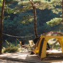 숲속캠핑장 이미지