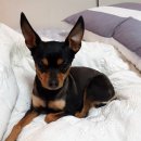 지에스25창동평화점 이미지