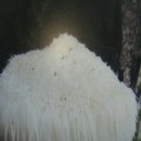 운기농장 이미지